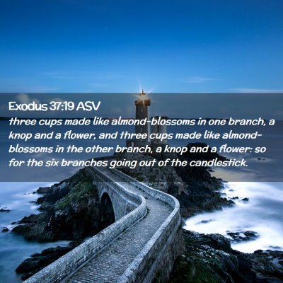 Picture 02 - Exodus 37:19 ASV - three cups made like almond-blossoms in one - Bible Verse Picture