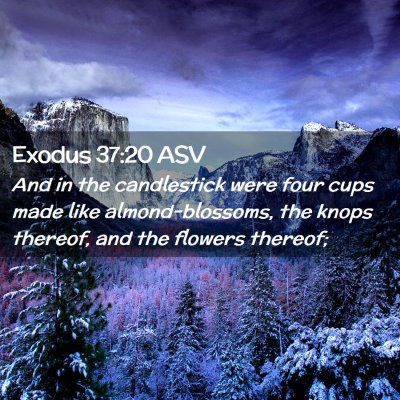 Picture 02 - Exodus 37:20 ASV - And in the candlestick were four cups made like - Bible Verse Picture