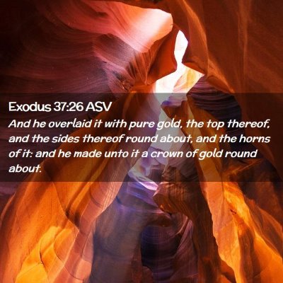 Picture 02 - Exodus 37:26 ASV - And he overlaid it with pure gold, the top - Bible Verse Picture
