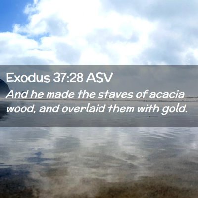 Picture 02 - Exodus 37:28 ASV - And he made the staves of acacia wood, and - Bible Verse Picture