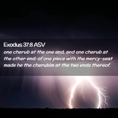 Picture 02 - Exodus 37:8 ASV - one cherub at the one end, and one cherub at the - Bible Verse Picture