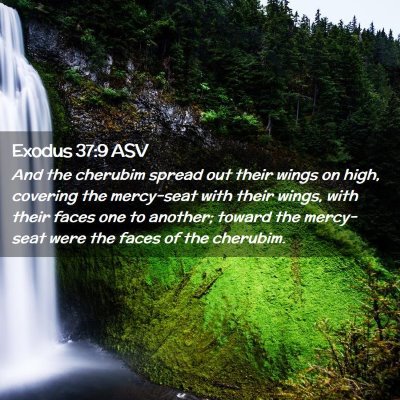 Picture 02 - Exodus 37:9 ASV - And the cherubim spread out their wings on high, - Bible Verse Picture