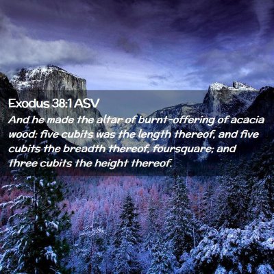 Picture 02 - Exodus 38:1 ASV - And he made the altar of burnt-offering of acacia - Bible Verse Picture