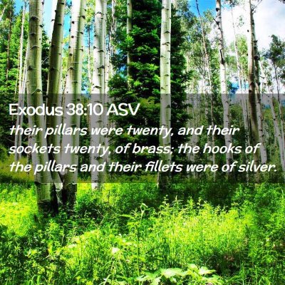Picture 02 - Exodus 38:10 ASV - their pillars were twenty, and their sockets - Bible Verse Picture