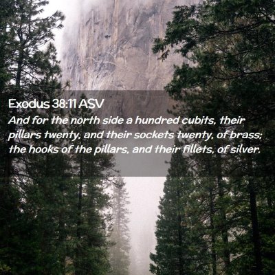 Picture 02 - Exodus 38:11 ASV - And for the north side a hundred cubits, their - Bible Verse Picture