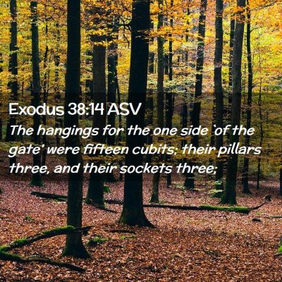Picture 02 - Exodus 38:14 ASV - The hangings for the one side `of the gate' were - Bible Verse Picture
