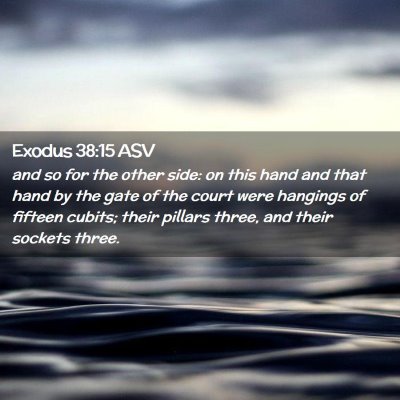 Picture 02 - Exodus 38:15 ASV - and so for the other side: on this hand and that - Bible Verse Picture