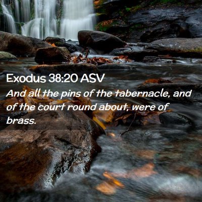 Picture 02 - Exodus 38:20 ASV - And all the pins of the tabernacle, and of the - Bible Verse Picture