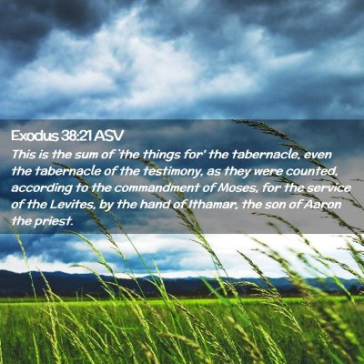 Picture 02 - Exodus 38:21 ASV - This is the sum of `the things for' the - Bible Verse Picture