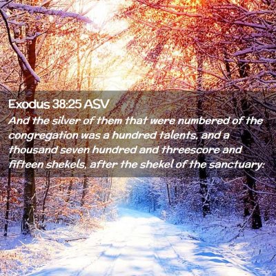 Picture 02 - Exodus 38:25 ASV - And the silver of them that were numbered of the - Bible Verse Picture