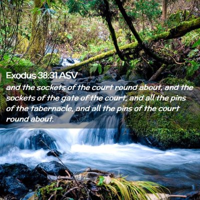 Picture 02 - Exodus 38:31 ASV - and the sockets of the court round about, and the - Bible Verse Picture