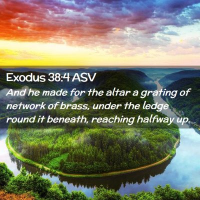Picture 02 - Exodus 38:4 ASV - And he made for the altar a grating of network of - Bible Verse Picture