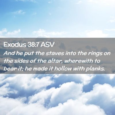 Picture 02 - Exodus 38:7 ASV - And he put the staves into the rings on the sides - Bible Verse Picture