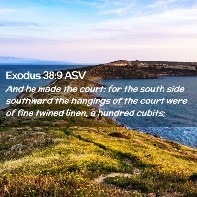 Picture 02 - Exodus 38:9 ASV - And he made the court: for the south side - Bible Verse Picture