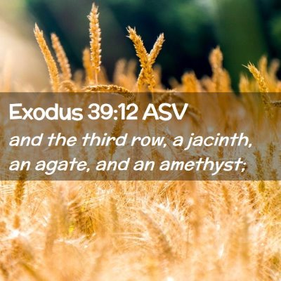 Picture 02 - Exodus 39:12 ASV - and the third row, a jacinth, an agate, and an - Bible Verse Picture
