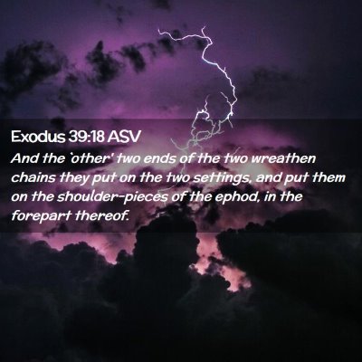 Picture 02 - Exodus 39:18 ASV - And the `other' two ends of the two wreathen - Bible Verse Picture