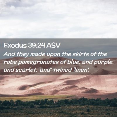 Picture 02 - Exodus 39:24 ASV - And they made upon the skirts of the robe - Bible Verse Picture