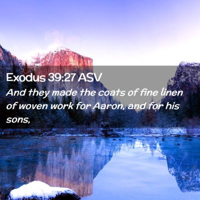 Picture 02 - Exodus 39:27 ASV - And they made the coats of fine linen of woven - Bible Verse Picture
