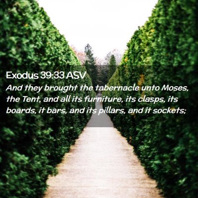 Picture 02 - Exodus 39:33 ASV - And they brought the tabernacle unto Moses, the - Bible Verse Picture