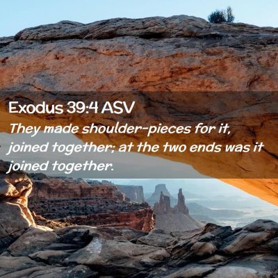 Picture 02 - Exodus 39:4 ASV - They made shoulder-pieces for it, joined - Bible Verse Picture