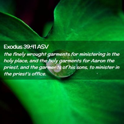 Picture 02 - Exodus 39:41 ASV - the finely wrought garments for ministering in - Bible Verse Picture