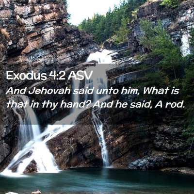 Picture 02 - Exodus 4:2 ASV - And Jehovah said unto him, What is that in thy - Bible Verse Picture