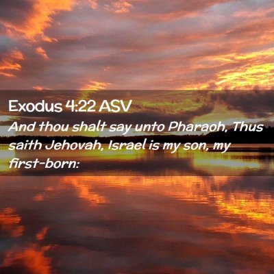 Picture 02 - Exodus 4:22 ASV - And thou shalt say unto Pharaoh, Thus saith - Bible Verse Picture