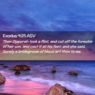 Picture 02 - Exodus 4:25 ASV - Then Zipporah took a flint, and cut off the - Bible Verse Picture