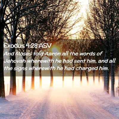 Picture 02 - Exodus 4:28 ASV - And Moses told Aaron all the words of Jehovah - Bible Verse Picture