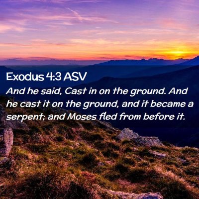 Picture 02 - Exodus 4:3 ASV - And he said, Cast in on the ground. And he cast - Bible Verse Picture