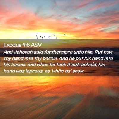 Picture 02 - Exodus 4:6 ASV - And Jehovah said furthermore unto him, Put now - Bible Verse Picture