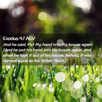 Picture 02 - Exodus 4:7 ASV - And he said, Put thy hand into thy bosom again. - Bible Verse Picture