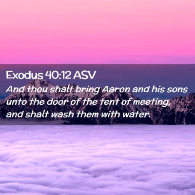 Picture 02 - Exodus 40:12 ASV - And thou shalt bring Aaron and his sons unto the - Bible Verse Picture