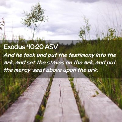 Picture 02 - Exodus 40:20 ASV - And he took and put the testimony into the ark, - Bible Verse Picture