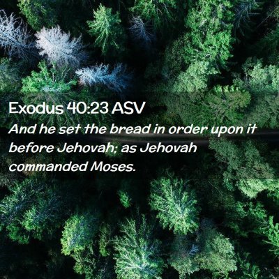 Picture 02 - Exodus 40:23 ASV - And he set the bread in order upon it before - Bible Verse Picture