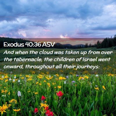 Picture 02 - Exodus 40:36 ASV - And when the cloud was taken up from over the - Bible Verse Picture