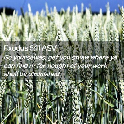 Picture 02 - Exodus 5:11 ASV - Go yourselves, get you straw where ye can find - Bible Verse Picture