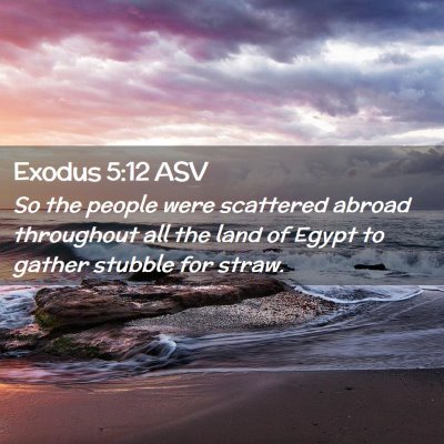 Picture 02 - Exodus 5:12 ASV - So the people were scattered abroad throughout - Bible Verse Picture