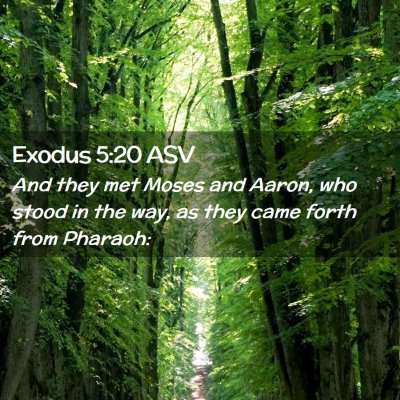 Picture 02 - Exodus 5:20 ASV - And they met Moses and Aaron, who stood in the - Bible Verse Picture