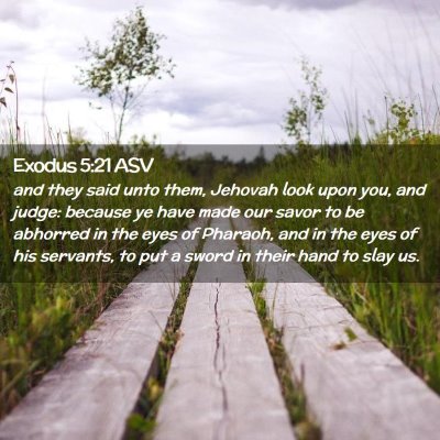 Picture 02 - Exodus 5:21 ASV - and they said unto them, Jehovah look upon you, - Bible Verse Picture