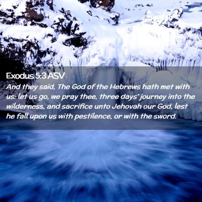 Picture 02 - Exodus 5:3 ASV - And they said, The God of the Hebrews hath met - Bible Verse Picture