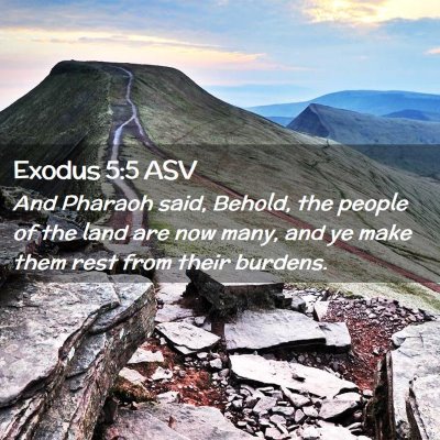 Picture 02 - Exodus 5:5 ASV - And Pharaoh said, Behold, the people of the land - Bible Verse Picture