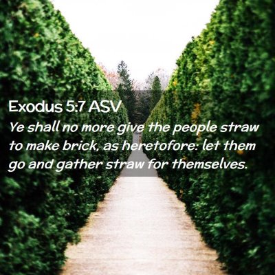Picture 02 - Exodus 5:7 ASV - Ye shall no more give the people straw to make - Bible Verse Picture