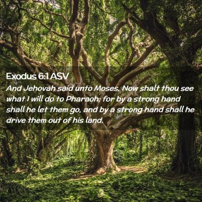Picture 02 - Exodus 6:1 ASV - And Jehovah said unto Moses, Now shalt thou see - Bible Verse Picture