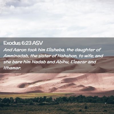 Picture 02 - Exodus 6:23 ASV - And Aaron took him Elisheba, the daughter of - Bible Verse Picture