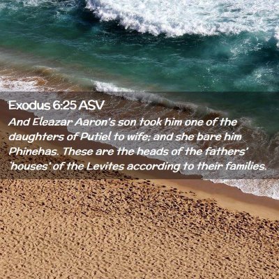 Picture 02 - Exodus 6:25 ASV - And Eleazar Aaron's son took him one of the - Bible Verse Picture