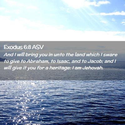 Picture 02 - Exodus 6:8 ASV - And I will bring you in unto the land which I - Bible Verse Picture