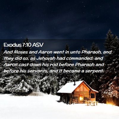 Picture 02 - Exodus 7:10 ASV - And Moses and Aaron went in unto Pharaoh, and - Bible Verse Picture
