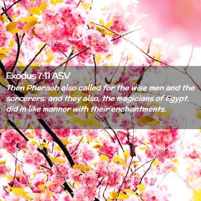 Picture 02 - Exodus 7:11 ASV - Then Pharaoh also called for the wise men and the - Bible Verse Picture