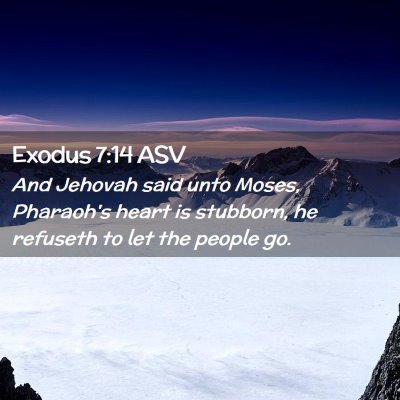 Picture 02 - Exodus 7:14 ASV - And Jehovah said unto Moses, Pharaoh's heart is - Bible Verse Picture
